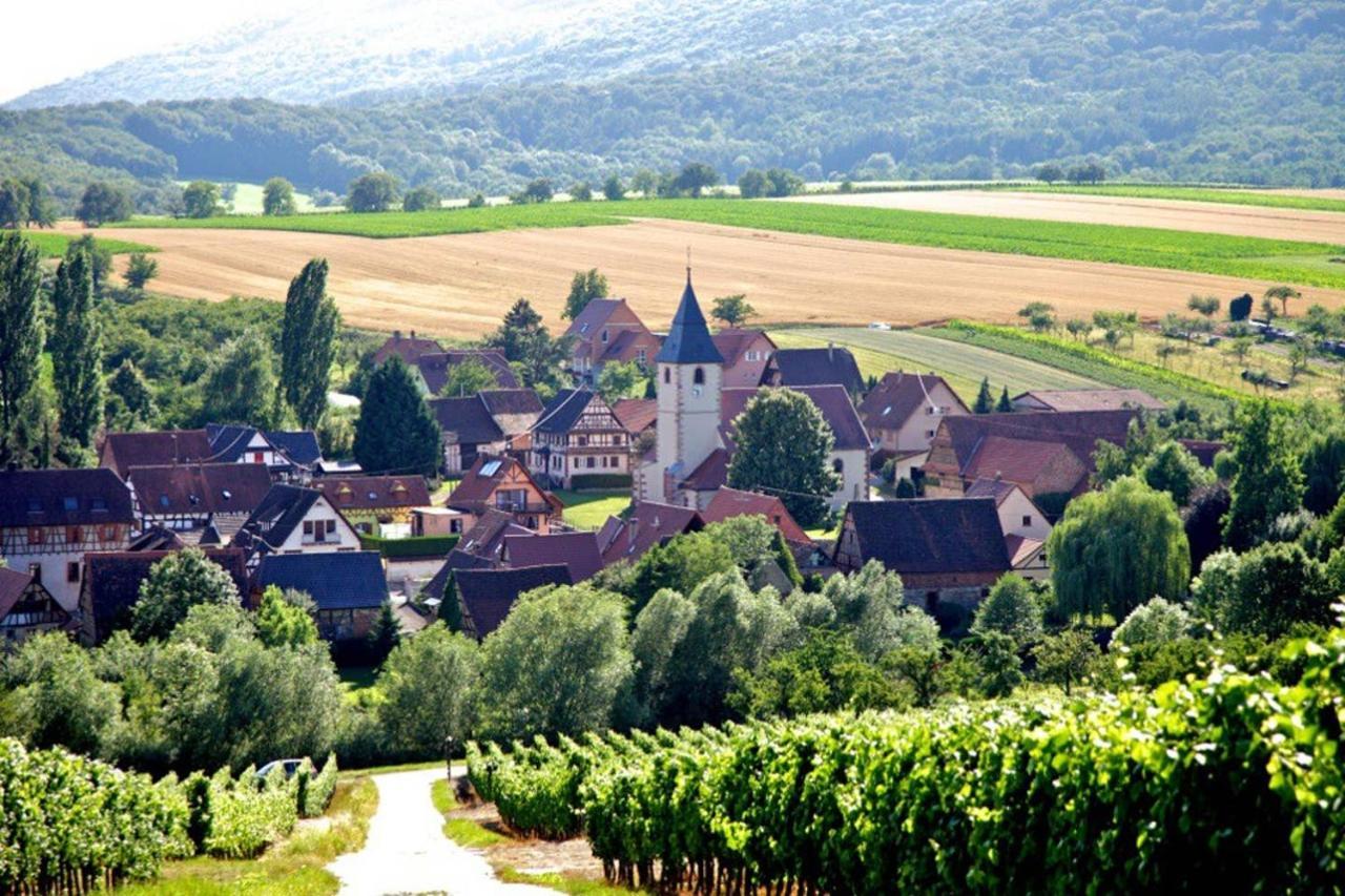 Elsasslogie Im Winzerdorf Appartement Cleebourg Buitenkant foto